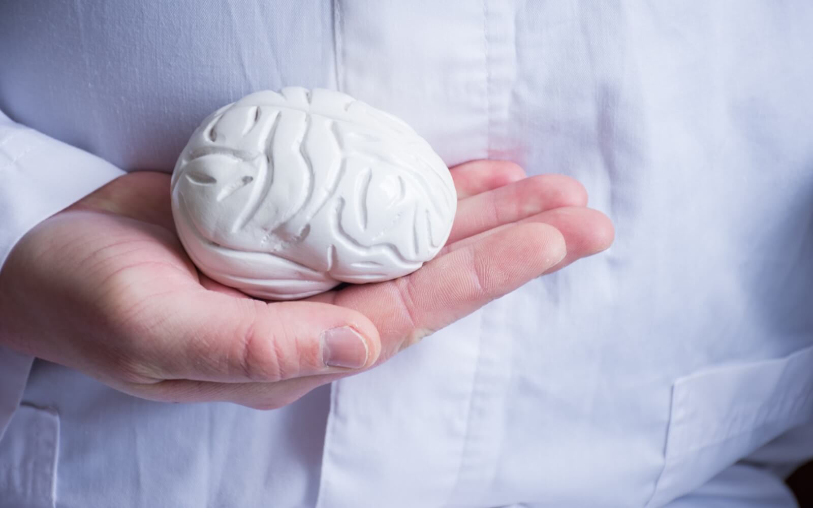 Arzt im weißen Kittel hält in seiner Hand in Hand anatomisches Modell des menschlichen Gehirns
